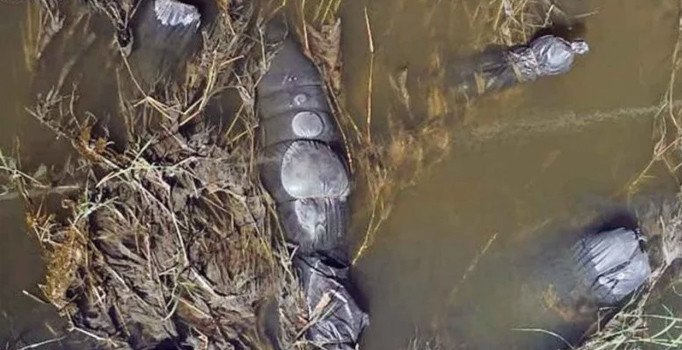 Meksika'da poşetlerde 12 kişiye ait ceset parçaları bulundu