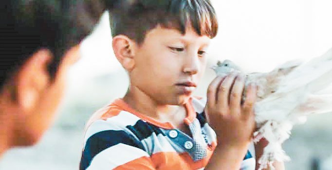 Sinemanın ortak düşü adalet