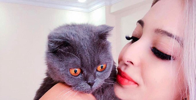 Eski sevgilisi kedilerini vahşice öldürdü