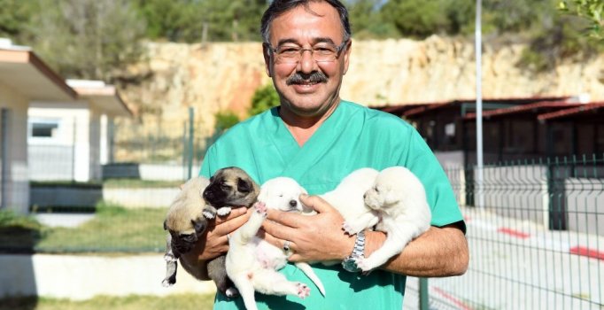 Yavru köpekleri, ağzı bağlı çuval içinde ormana bırakmışlar