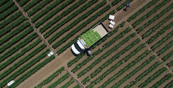 Tarım danışmanları için yıllık 46 bin liralık destek geliyor