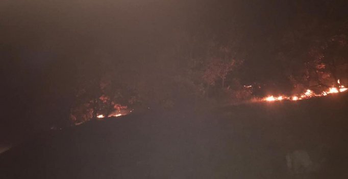 Kahramanmaraş'ta orman yangını