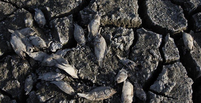 AP, iklim için OHAL ilan etti