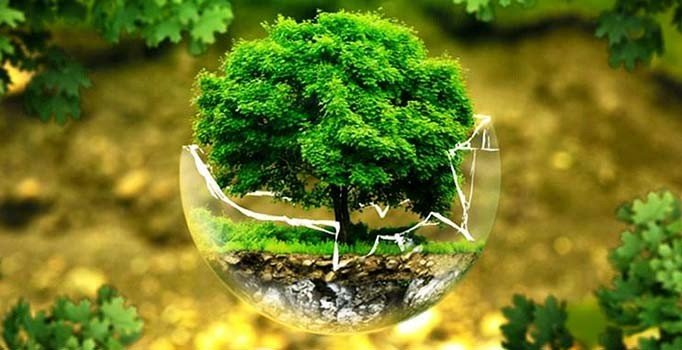 200'ü aşan cezada ÇED belgesi iptal edilecek