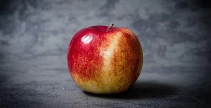 'Kozmik Kütür' satışa çıktı: Bir yıl buzdolabında saklanabilecek