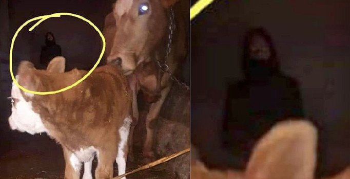 Sosyal medyada gündem olan esrarengiz fotoğraf