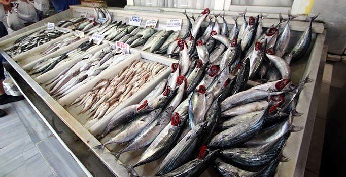 Palamut son iki yılda yüzde 90 azaldı