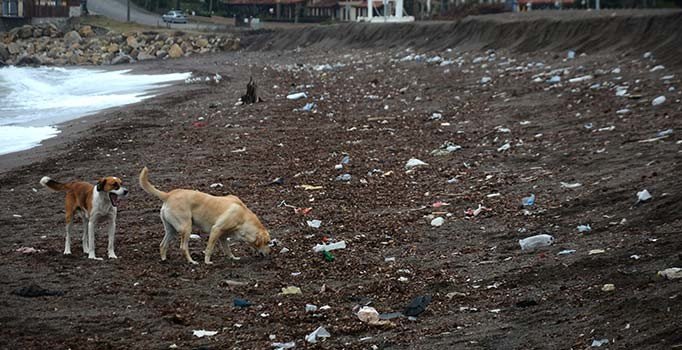 Akçakoca'dan ilginç görüntü... Kum kıyıya 3 metre çekildi