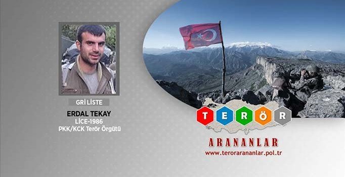 Son dakika | Muş'ta gri kategoride aranan terörist etkisiz hale getirildi