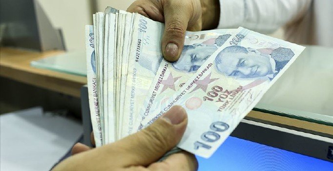 Faizsiz finans denetimine 'standart' geldi