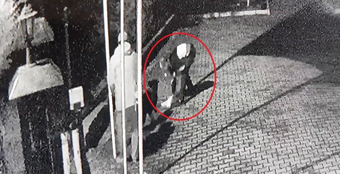 Kalbi duran köpeği kalp masajıyla hayata döndürdü