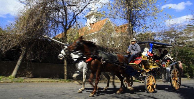 Son dakika! Adalar'da 3 ay at koşulmayacak | İstanbul Valiliği'nden 'ruam' suç duyurusu