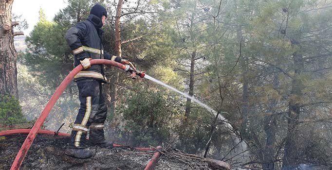 Bursa'da orman yangını... 20 dönüm çamlık alan kül oldu