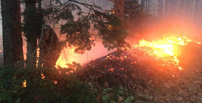 Trabzon’da orman yangınına sebep olan Afgan sınır dışı edildi