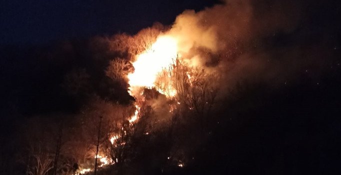 Karadeniz'de 71 noktada orman yangını