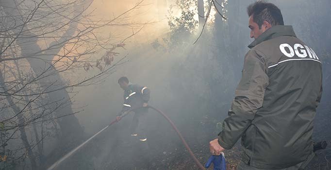 Son dakika! Karadeniz'deki yangınların tamamı kontrol altında