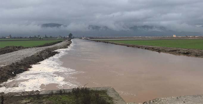 Amik Ovası'nı yine su bastı, tarım arazileri zarar gördü
