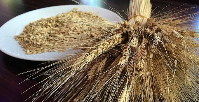 Rüyada bulgur görmek iyi midir kötü müdür? Rüyada bulgur görmenin anlamı