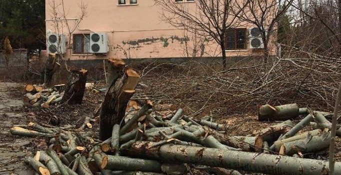 Tayini çıkan imam ağaçları da beraberinde götürdü
