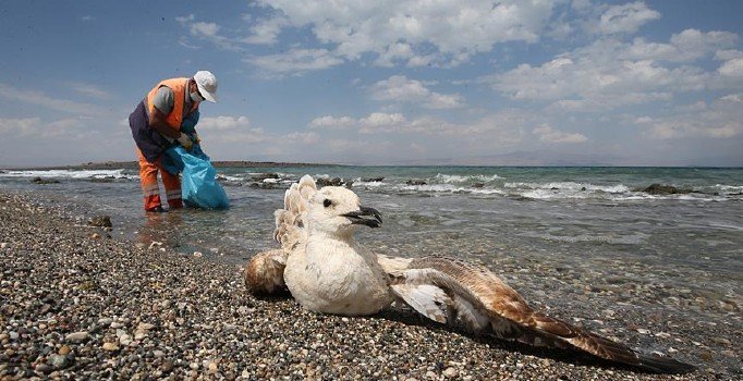 1 Ocak'tan sonra çevre cezaları katlanıyor | 'Gürültücü komşu' ile 'Yere çöp atan' yandı
