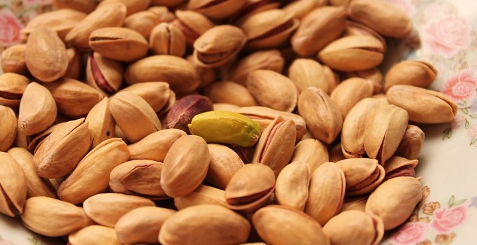 Antep fıstığında rekolte beklentisi yüksek