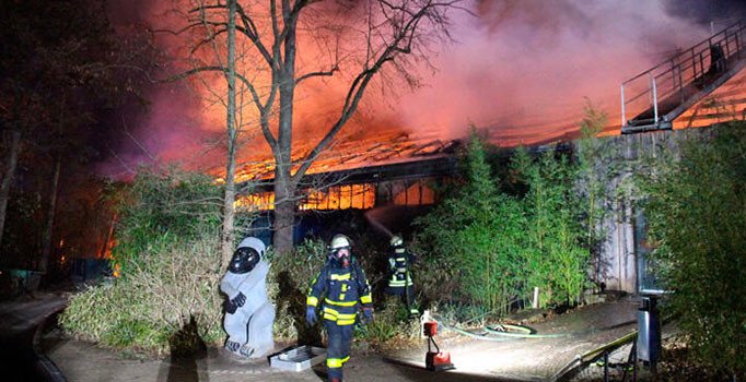 Hayvanat bahçesi yılbaşı gecesi yandı, tüm maymunlar öldü