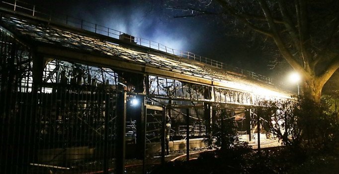 Havai fişekler 30'dan fazla maymunu telef etti