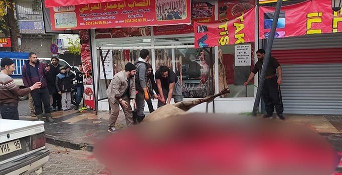 Sokakta deve kesti, 251 lira ceza yedi