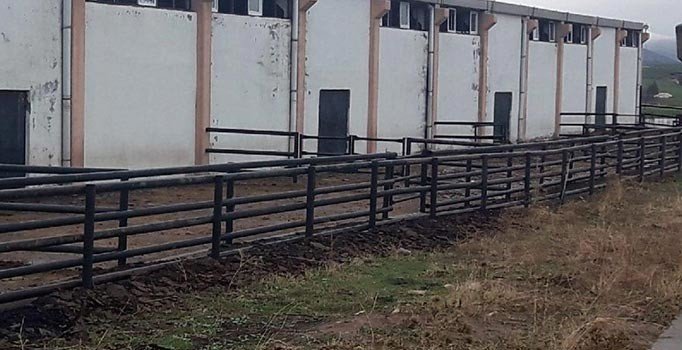 Diyarbakır’da ikinci Çiftlik Bank vakası: Çiftçileri 20 milyon lira dolandırdılar