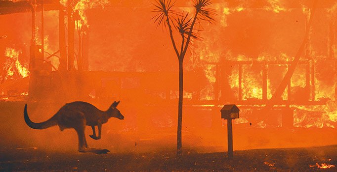 Yangın dünyayı tehdit ediyor