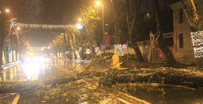 İstanbul'da fırtına çatıları uçurdu, ağaçları devirdi