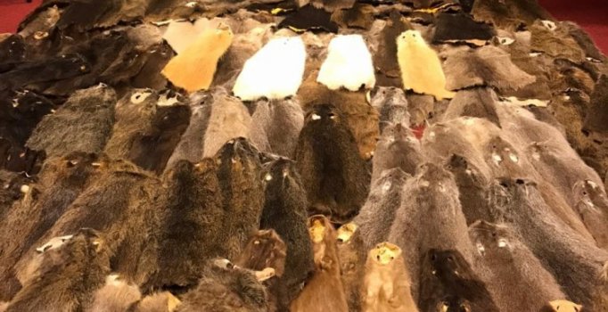 Esenboğa'da kunduz postu operasyonu