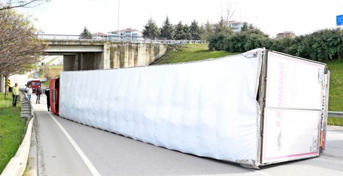 Elma yüklü TIR devrildi