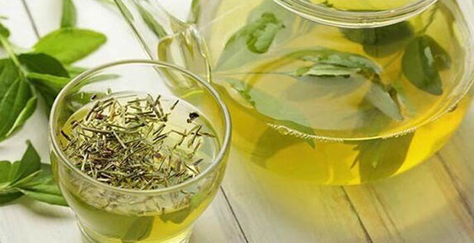 Çinli bilim insanlarına göre yeşil çay ömrü uzatıyor