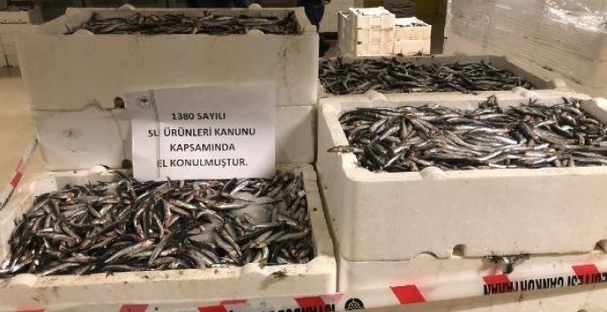 53 ton balığa el konuldu