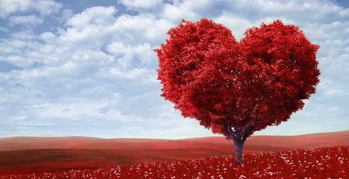 Sevgililer Gününe ne kadar kaldı? Sevgililer Gününün önemi