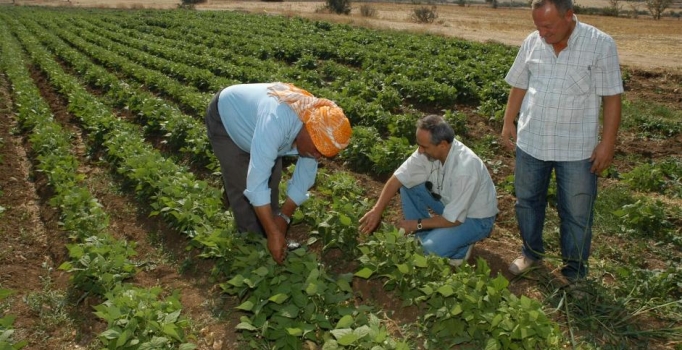 Çevre dostu çiftçiye destek