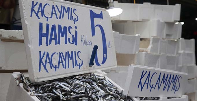 Hamsinin fiyatı 5 liraya düştü