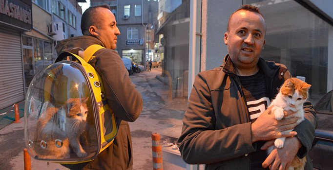 Sahiplendiği sokak kedisini gezdirmek için özel sırt çantası yaptı