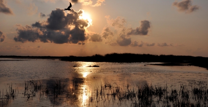 Kızılırmak Deltası, UNESCO Dünya Mirası geçici listesinde