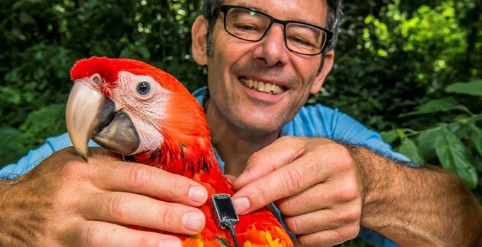 Depremleri hayvanlar haber verecek