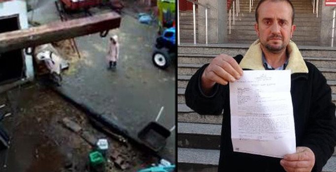 Yavru köpeklerini sopayla dövdükleri iddiasıyla ailesinden şikayetçi oldu