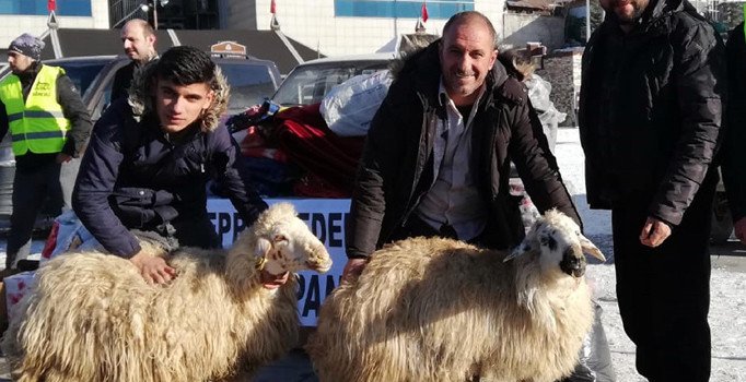 Depremzedelere iki koyununu gönderdi