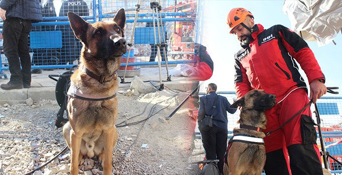 Enkaz altındaki 5 kişiye arama kurtarma köpeği Altar sayesinde ulaşıldı