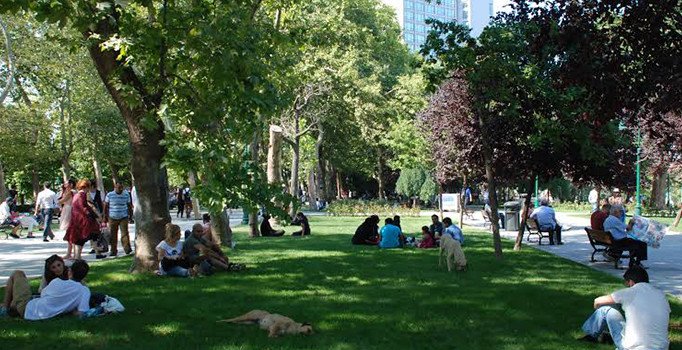 İBB, Gezi Parkı'ndaki 39 ağacı söküp yenisini dikecek