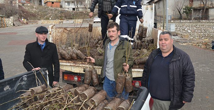 Antalya Büyükşehir Belediyesinden İbradı’da çiftçilere fide desteği