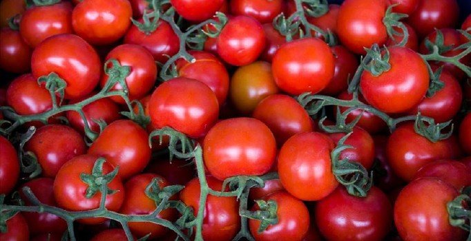 Rusya, Türkiye'den domates ithalatını daha da artıracak