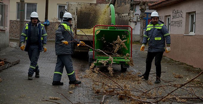 Tepebaşı Belediyesi ağaç budama çalışmalarına devam ediyor