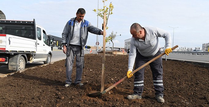 Sarısu Mahallesine 15 bin metrekare peyzaj