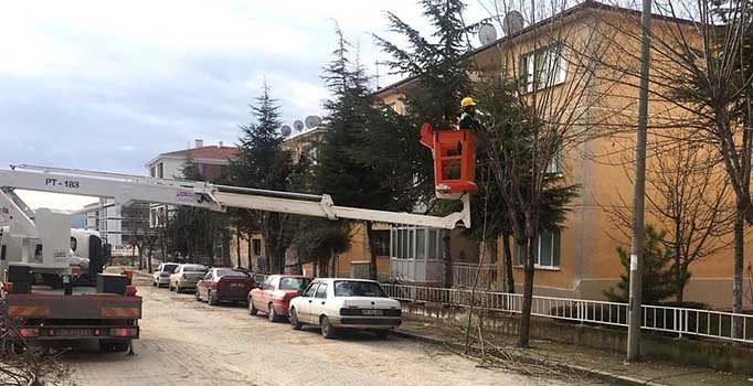 Odunpazarı Belediyesi ağaç budama çalışmalarına devam ediyor